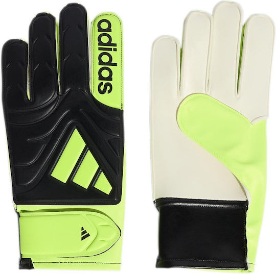 adidas Copa Голмански ръкавици за Възрастни Черен