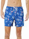 Hollister Μαγιό Hollister 3333400817228