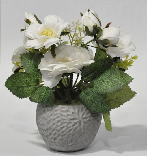 Decorative Plant White Pot 15x11x17cm Sidirela E-4663