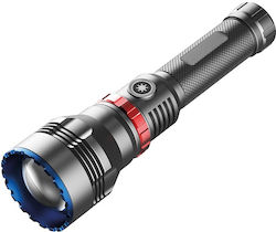 Lumenor Bredar Virgo Lumenor Bredar Virgo