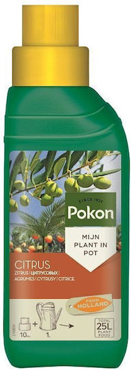 Pokon Lichid Îngrășământ Potasiu pentru Măslini, Citrice 500ml