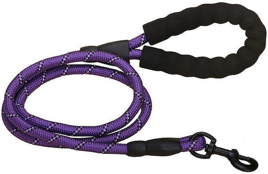 Dog Leash/Lead Strap in Purple color