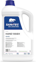 Sanitec Dezinfectant Profesional Pentru Mâini