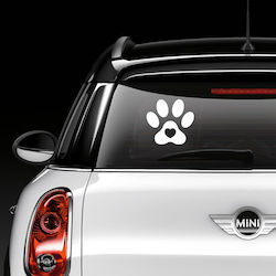 Dog Paw On Board External Print
