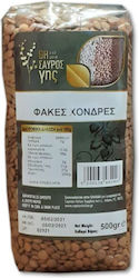 Φακες Χονδρες Θησαυρος Γης 500gr