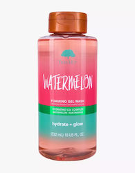 Tree Hut Watermelon Foaming 532ml Tree Hut Watermelon Foaming 532ml