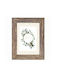 HAMA Plastic Photo Frame with Brown Frame