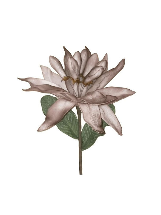 Art Et Lumiere Rote Rosenblumen