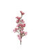 Art Et Lumiere Zweigstelle Blumen Rosa