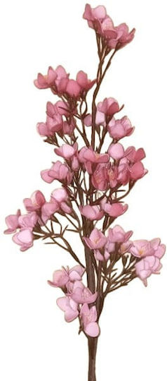 Art Et Lumiere Zweigstelle Blumen Rosa