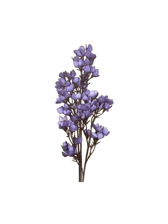 Art Et Lumiere Zweigstelle Blumen Lila