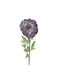 Art Et Lumiere Purple Flower