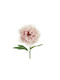 Dekorative Pfingstrose Blume 35cm Rosa