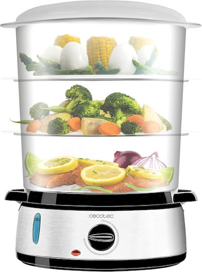 Cecotec Vapovita 3000 124128B Display Steamer 800W