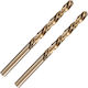 Deli Set of 2 HSS Drills with Cylindrical Drill Top for Metal