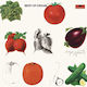Cream Best Cream Hq 1 Vinyl