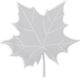 Silicone Mold Coaster Plane Tree Leaf 12x12cm