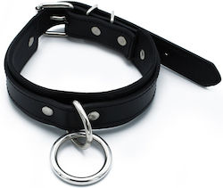 Kiotos Яка в Черен Цвят
