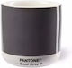 Pantone Ποτήρι Θερμός 220ml Γκρι