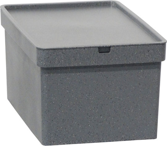 Viomes Nova Mosaic Kunststoff Aufbewahrungsbox mit Deckel 5x26cm 1Stück