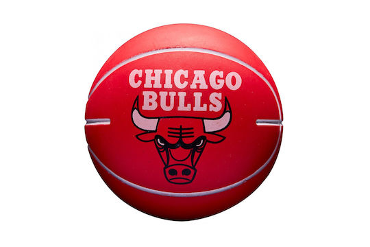 Wilson Nba Dribbler Bskt Kids Ball Basketball Multicolored