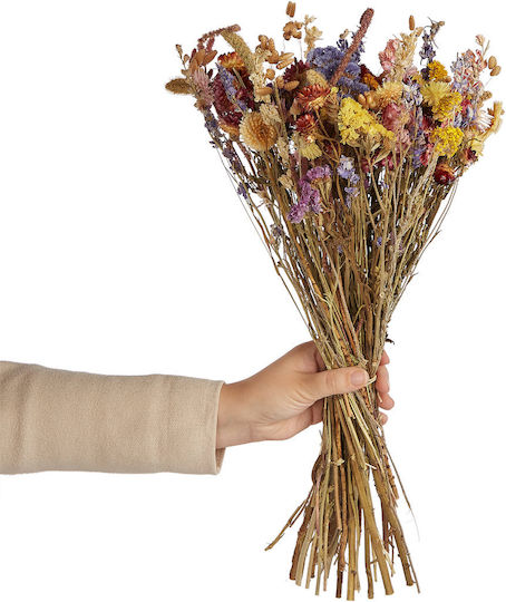 Flower Market Blumenstrauß Blumen Vom Feld 48cm Bunt Länge 48cm X Breite 30cm Flower Market Blumenstrauß Blumen Vom Feld 48cm Bunt Länge 48cm X Breite 30cm