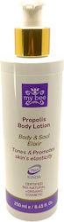 My Bee Lotion Σώματος 250ml My Bee Lotion Σώματος 250ml