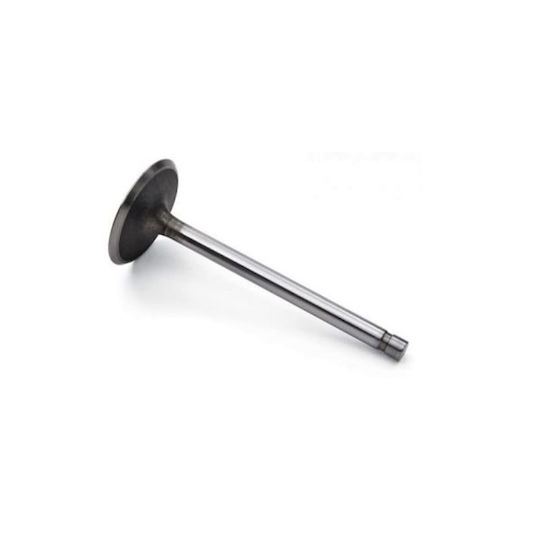 Motorcycle Intake Valve Kawasaki JOY-R Modenas Kriss 115 DB EUR / Kriss 125
