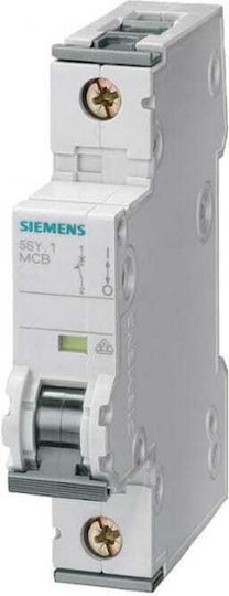 Siemens 1-Pole Panel Push Switch 230V