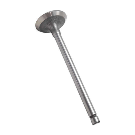 Nippon Motorcycle Exhaust Valve Kawasaki Max 100