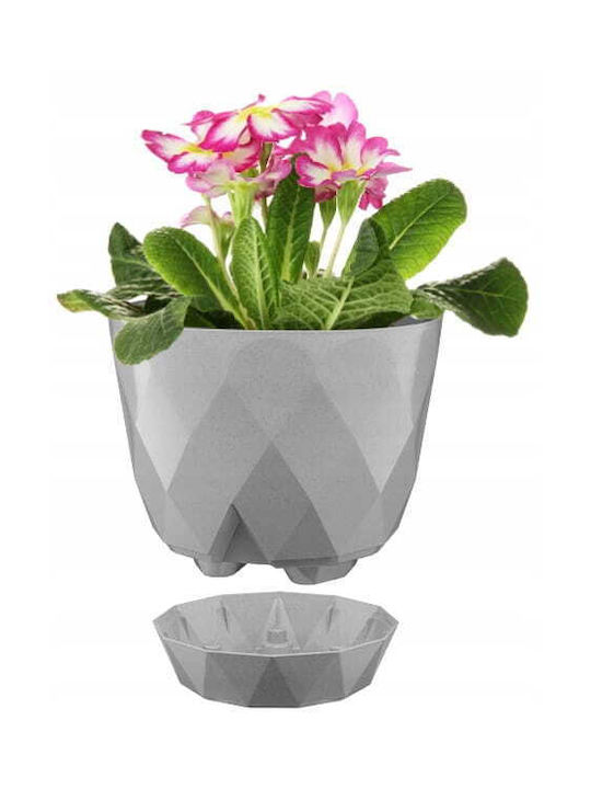 Galicja Ghiveci Plastic Gray cu farfurie 15x17.5cm.