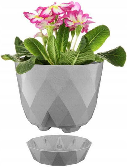 Galicja Ghiveci Plastic Gray cu farfurie 15x17.5cm.