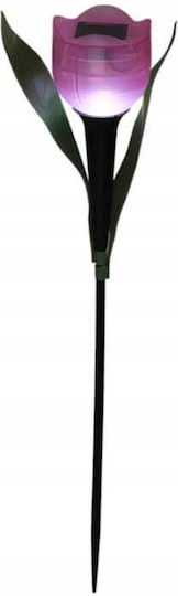 Koopman Solar Light with Warm White Light