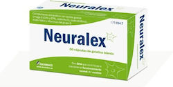 Italfarmaco Neuralex 60 κάψουλες Italfarmaco Neuralex 60 κάψουλες