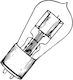 Saz Amp Tubes Instrument Amplifier