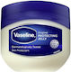 Vaseline Protecting Jelly Вазелин за Заздравяване 450гр