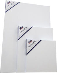 Pânză Dublă Cu Panze 35x45x3.6cm Bumbac 380gr