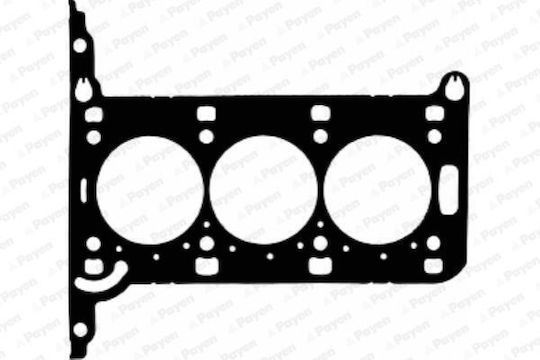 Фл Глава Opel Corsa C 1.0 Z10xer 3 Глави <09 Payen Ae5950-113