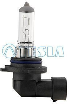 Tesla Lamps Car HB4-9006 12V 55W 1pcs