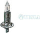 Tesla Lamps Car 12V 55W 5pcs