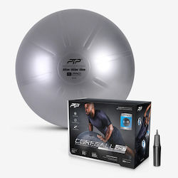 PTP Minge Pilates 75cm în culoare Argintiu PTP Minge Pilates 75cm în culoare Argintiu