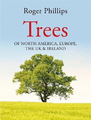 Trees: Of North America, Europe, The Uk & Ireland Roger Phillips Macmillan