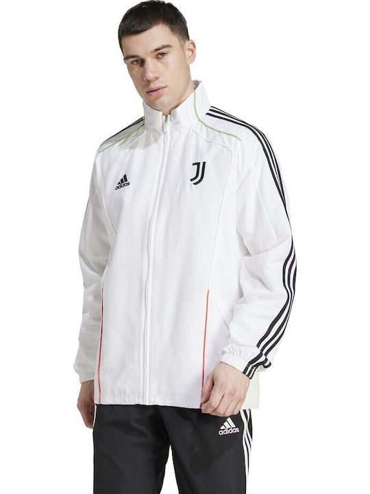 JUVE UBP TT Ζακέτα Λευκό