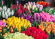 Scent Spring Flowers 1L