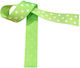 Kyriacou Gros Polka Dot Ribbon 25mmx25m Light Green White Jgroxx11dotb-x25x50-6101xx