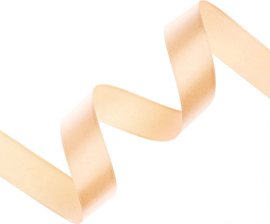 Satin Single Face Ribbon Organza 20mm 100m Salmon