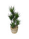 Gladiol Artificial 43cm