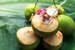 Coconut Scent 1L