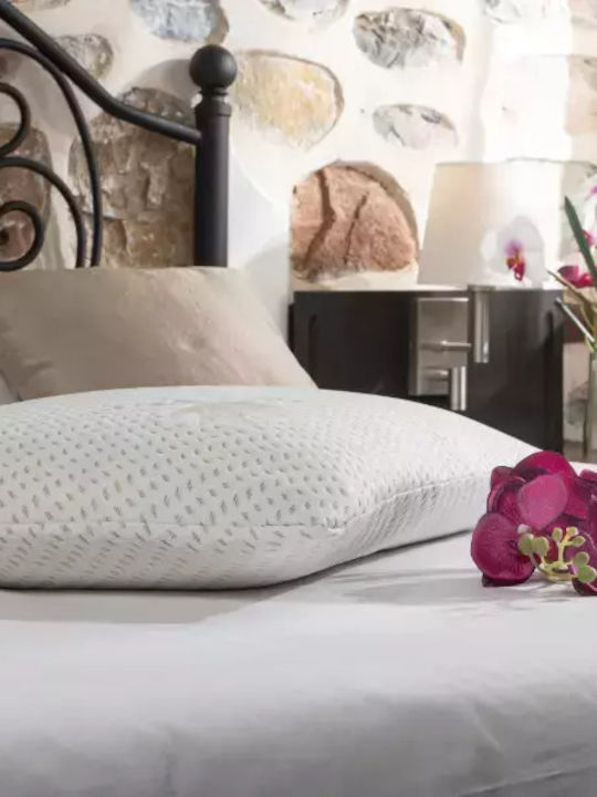 Alpha Foam Classic Aloe Vera Μαξιλάρι Ύπνου Memory Foam Ανατομικό 45x65x12cm