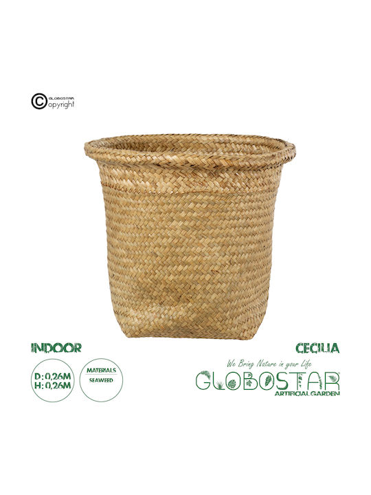 Globostar Artificial Garden Cecilia 20343 Decorative Wicker Basket Planter Flower Pot Beige Φ26cm X H26cm